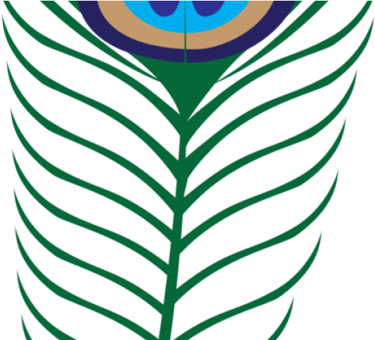 Peacock Clipart Green Peacock - Clip Art - Png Download (640x480), Png Download