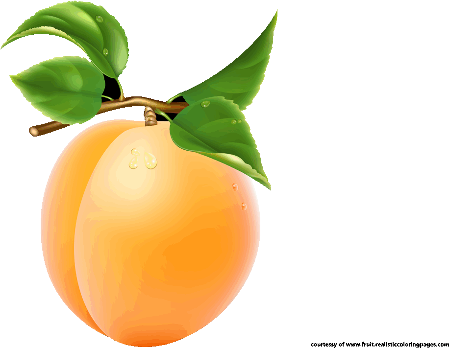 Downloads 7 Apricot Royalty Free Clipart - Png Apricopt Transparent Png (1280x720), Png Download