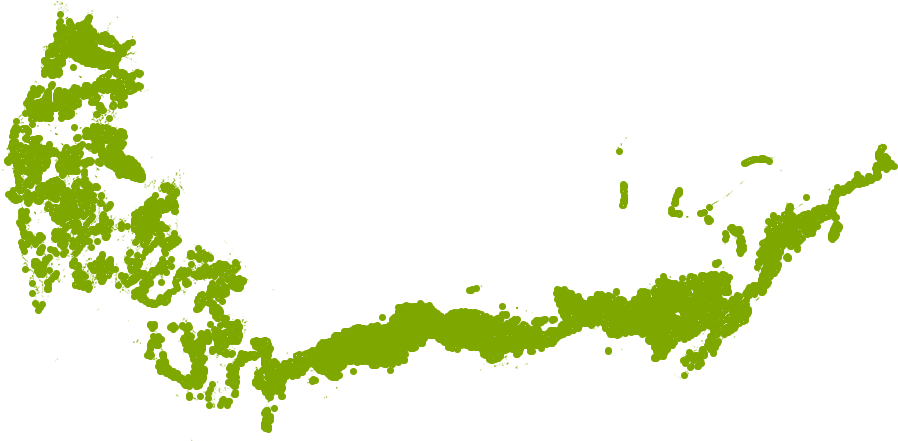 Mexican Feather Grass Png Png Freeuse Download Clipart (1000x662), Png Download