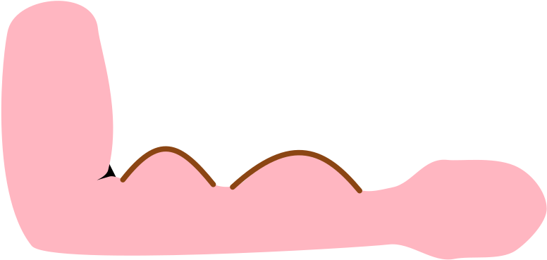 Medium Image Clipart (800x404), Png Download