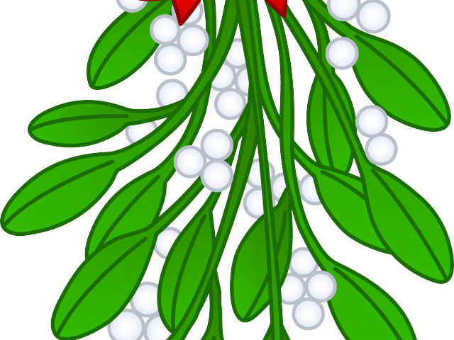 Mistletoe Cliparts - Transparent Mistletoe Clip Art - Png Download (640x480), Png Download