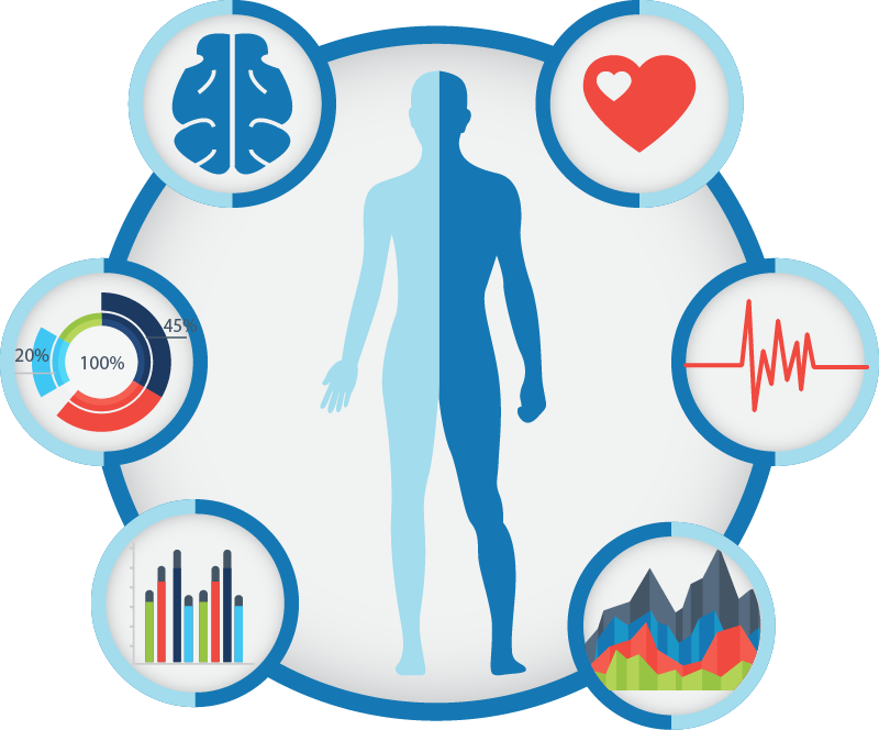 Minddep Draws On Brain And Body Based Scientific Assessment - محاور دورة تطوير الذات Clipart (800x664), Png Download
