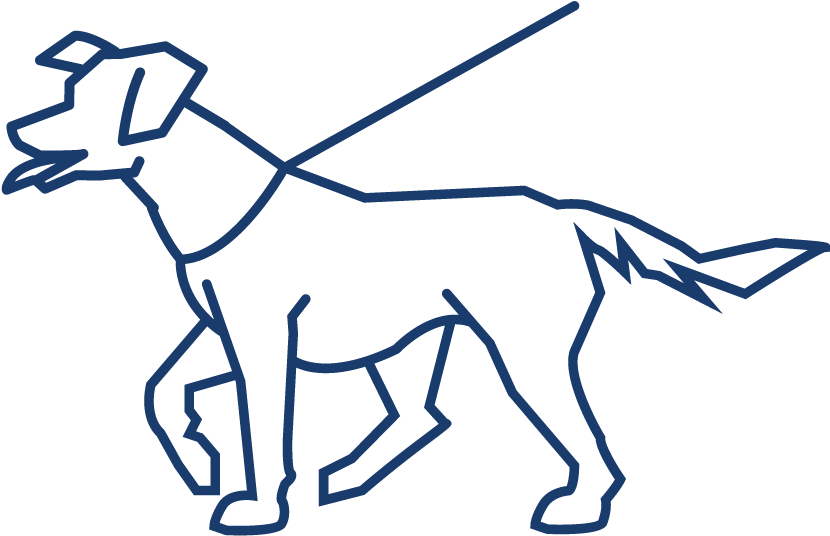 Longer Walks, Hikes Or Runs 3-5 Times Per Week - Ancient Dog Breeds Clipart (1125x714), Png Download