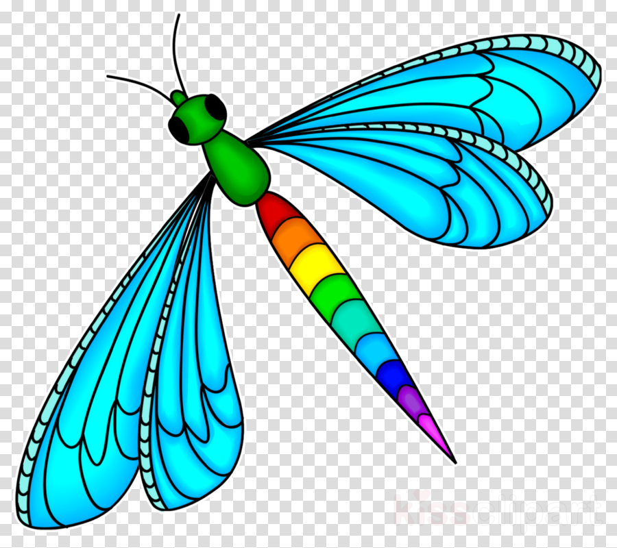 Dragonfly Png Clipart Clip Art - Clip Art Transparent Png (900x800), Png Download