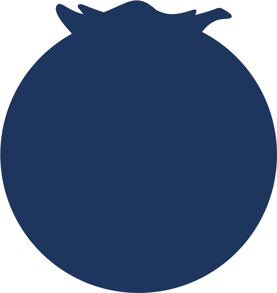 The Blueberry Hill - Bmw Clipart (1294x1294), Png Download