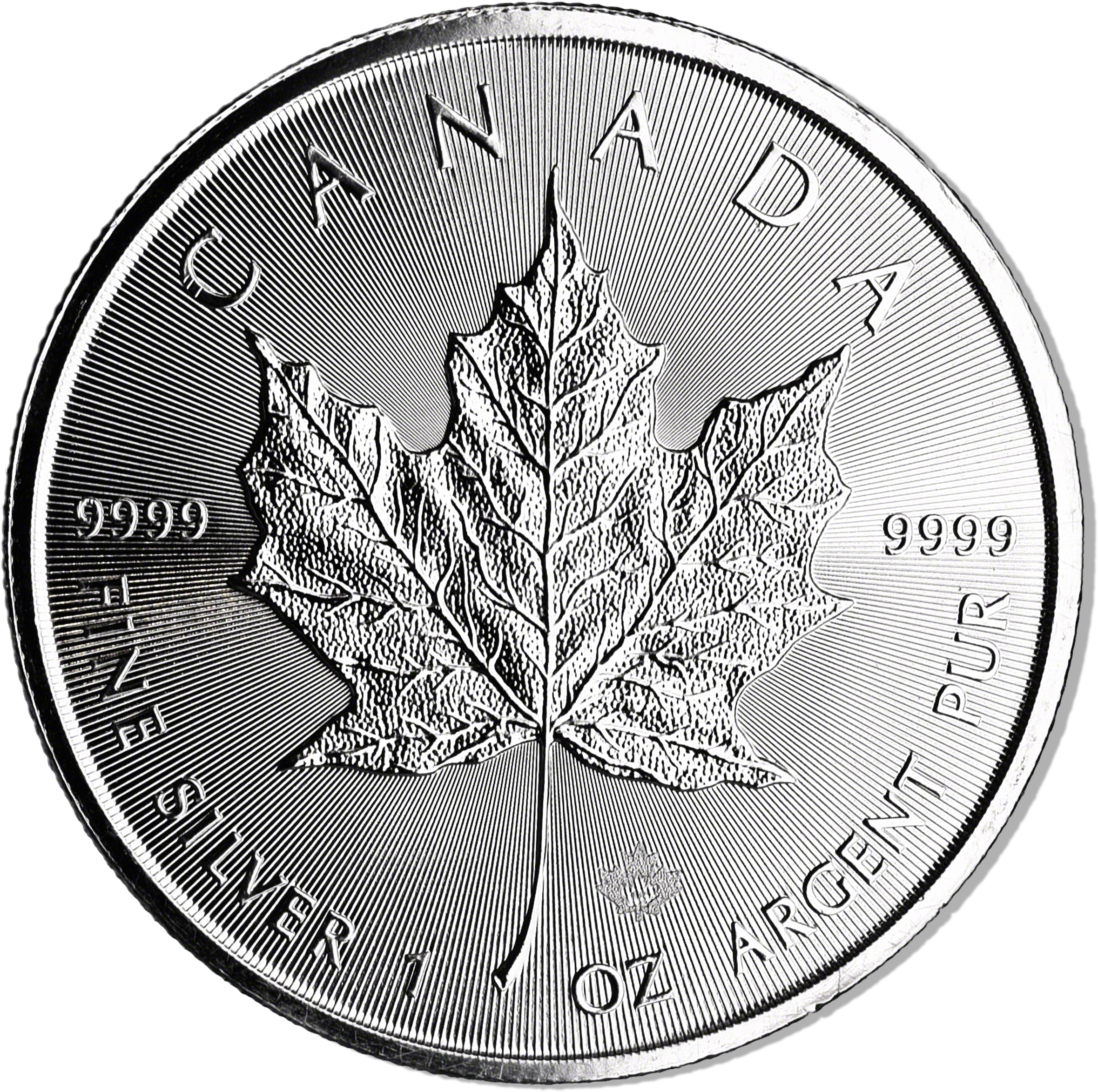 Canadian Silver Maple Leaf Clipart (2400x2400), Png Download
