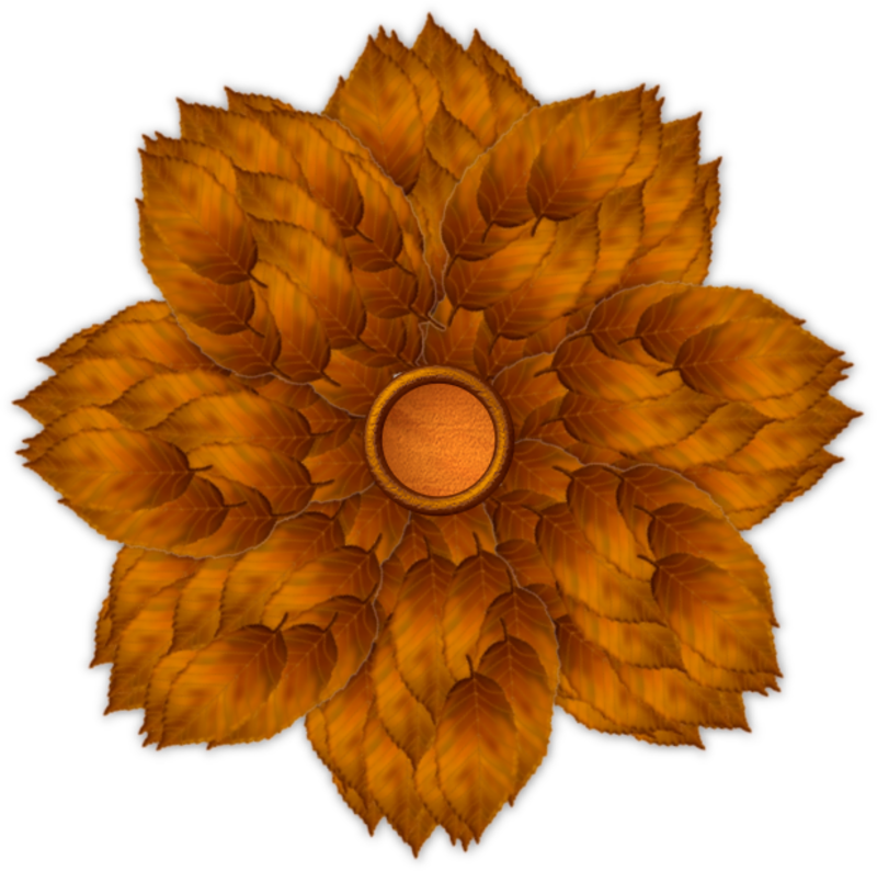 Fleurs23s2 - Sunflower Clipart (800x794), Png Download