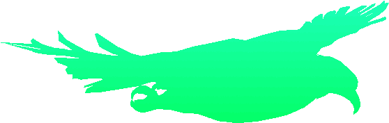 Flying Falcon - Sahinu88 - Bald Eagle Clipart (800x565), Png Download