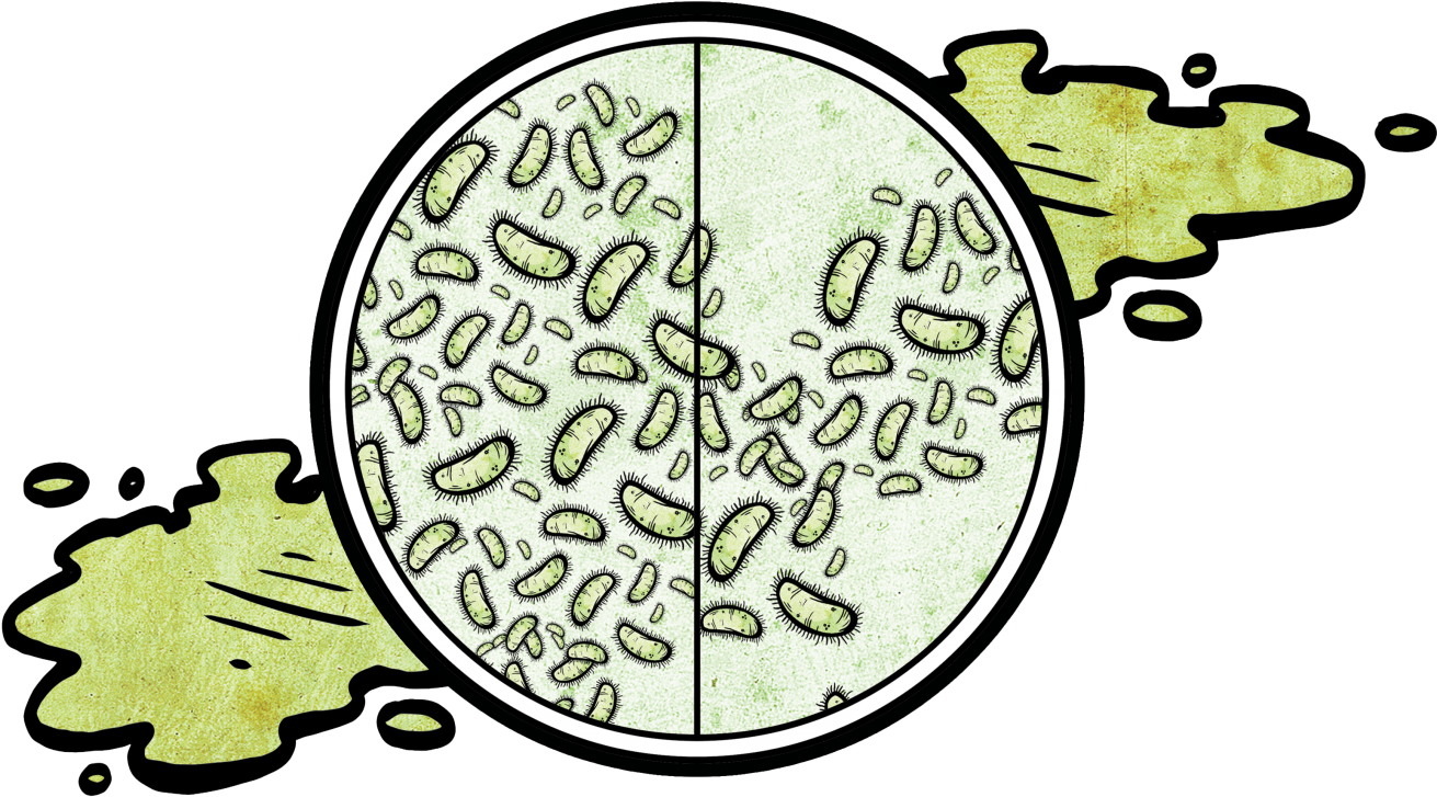 #2 Within One Week, A Mop Can Grow A Bacterial Population Clipart (1400x1082), Png Download