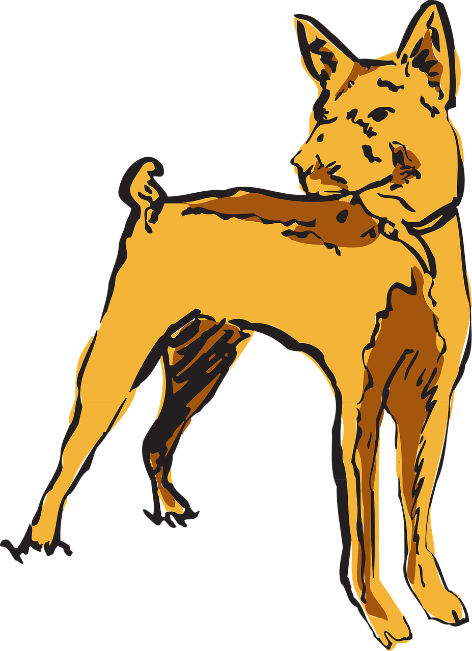 Dog Watching Pet Standing Transparent Image - Dog Clipart (927x1280), Png Download