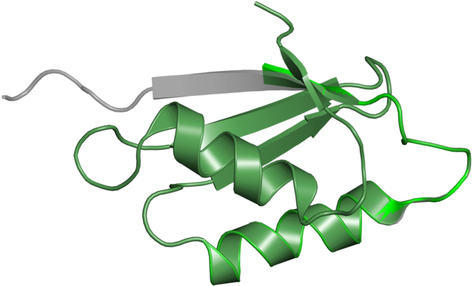 Protein Data Bank Clipart (800x800), Png Download