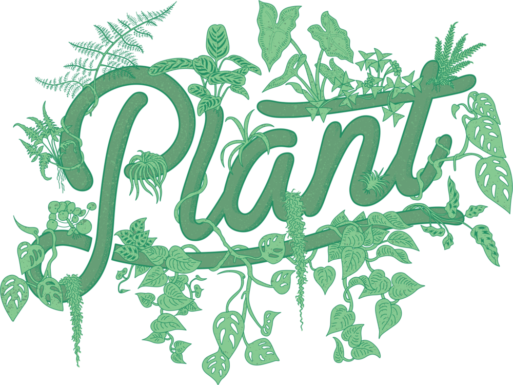 Plant By Packwood Clipart (1000x750), Png Download