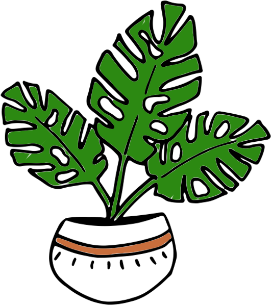 How To Houseplant Clipart (571x633), Png Download