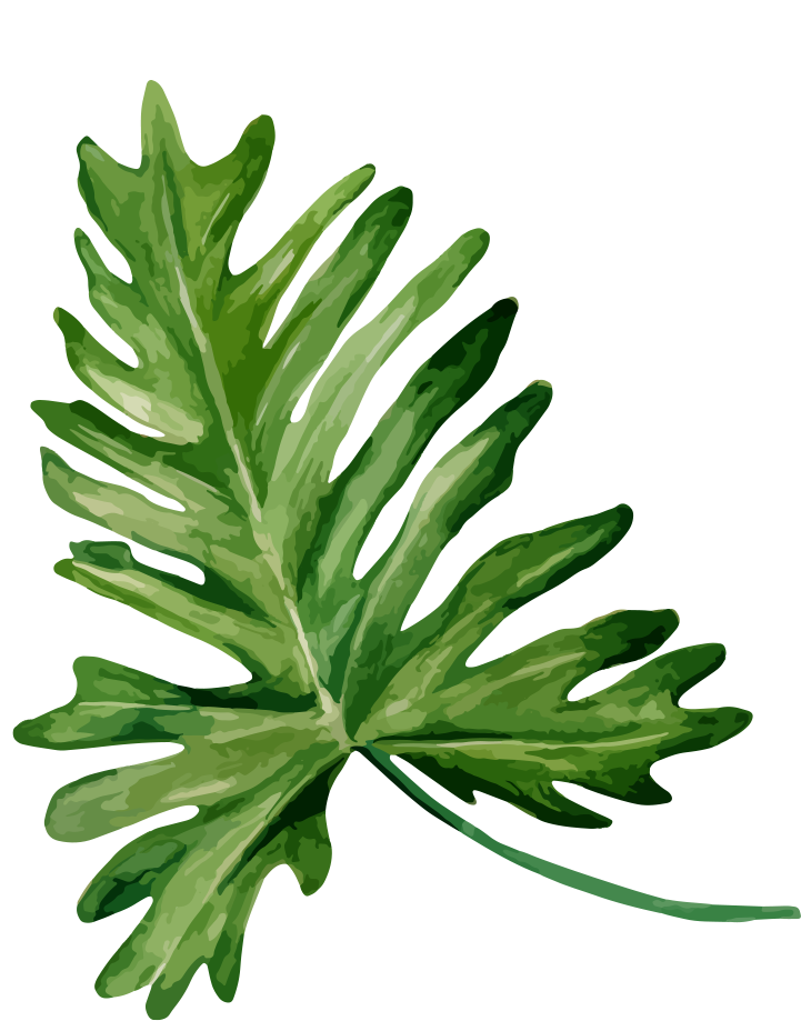 Passion - Bandinist Floppy Bow Headband-tropical Mix Clipart (730x928), Png Download