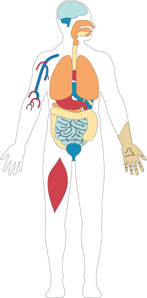 Address Department Of Clinical Biochemistry & Pharmacology, Clipart (507x1024), Png Download