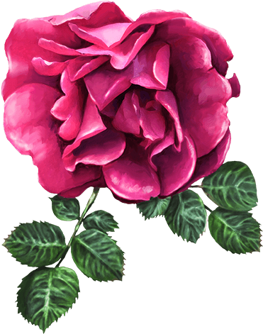 Roses And Flowers - Flower Clipart (618x561), Png Download