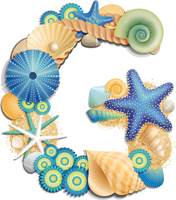 Фото, Автор Arana На Яндекс - Letter Z Sea Shells Clipart (697x800), Png Download