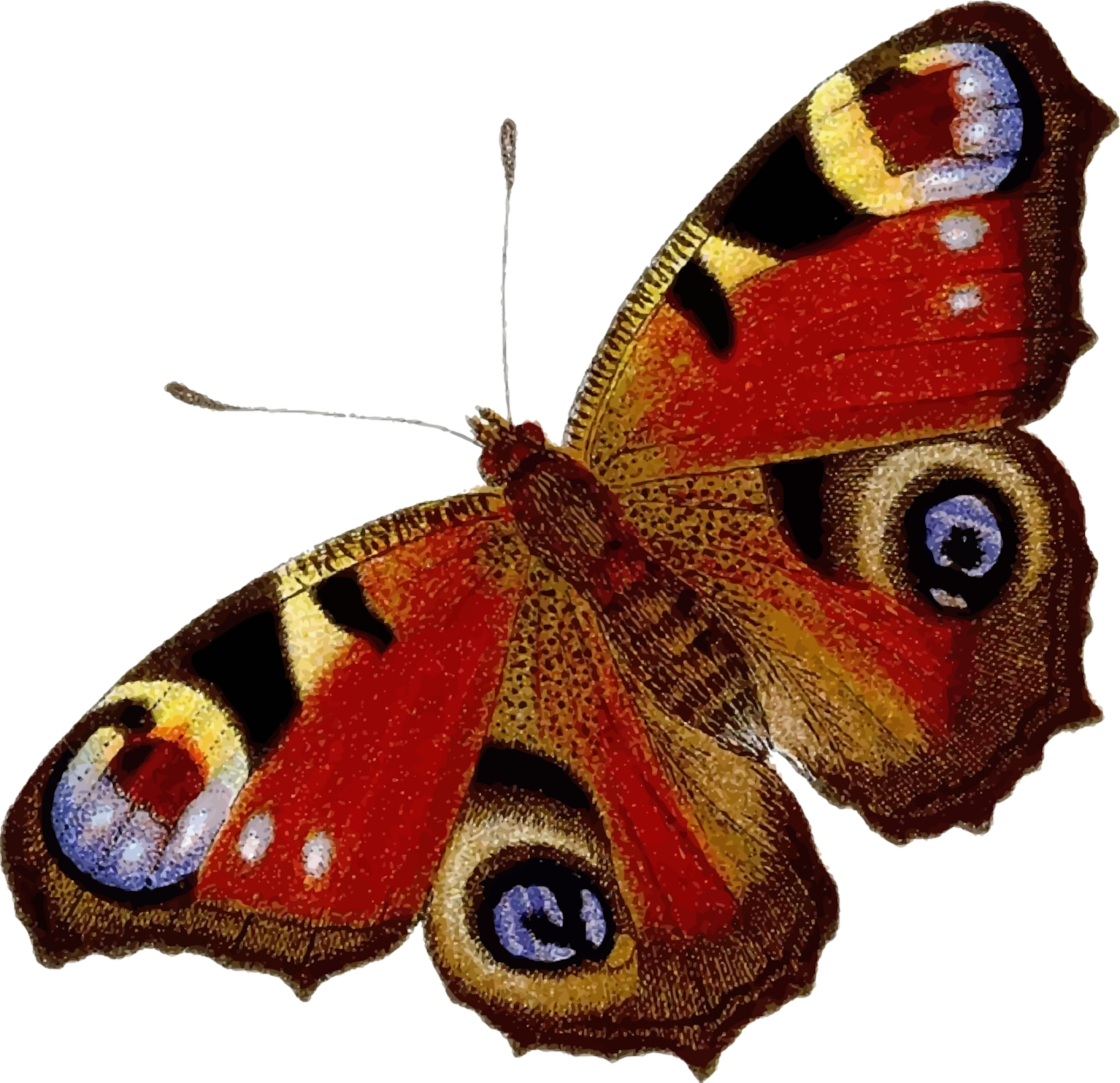 Peacock Butterfly Clipart (2400x2322), Png Download