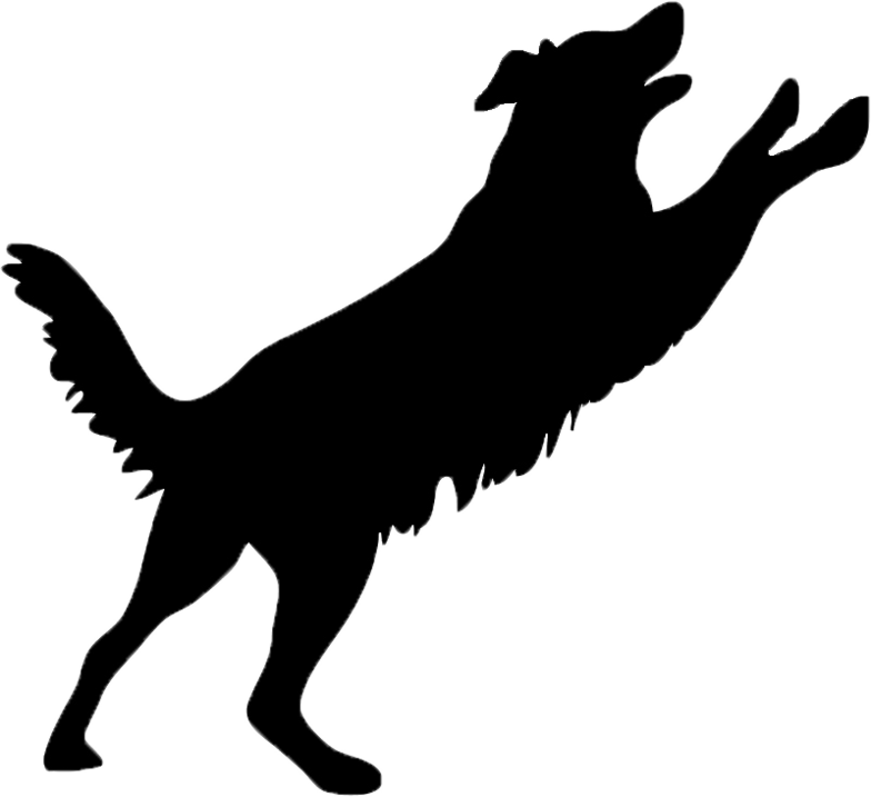 Contact Us For Any Questions Contact Webmaster - Намалювати Собаку Що Стрибає Clipart (784x717), Png Download