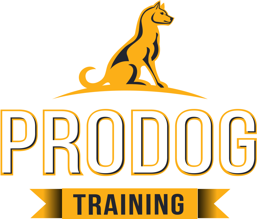 Dog Clipart (1021x871), Png Download