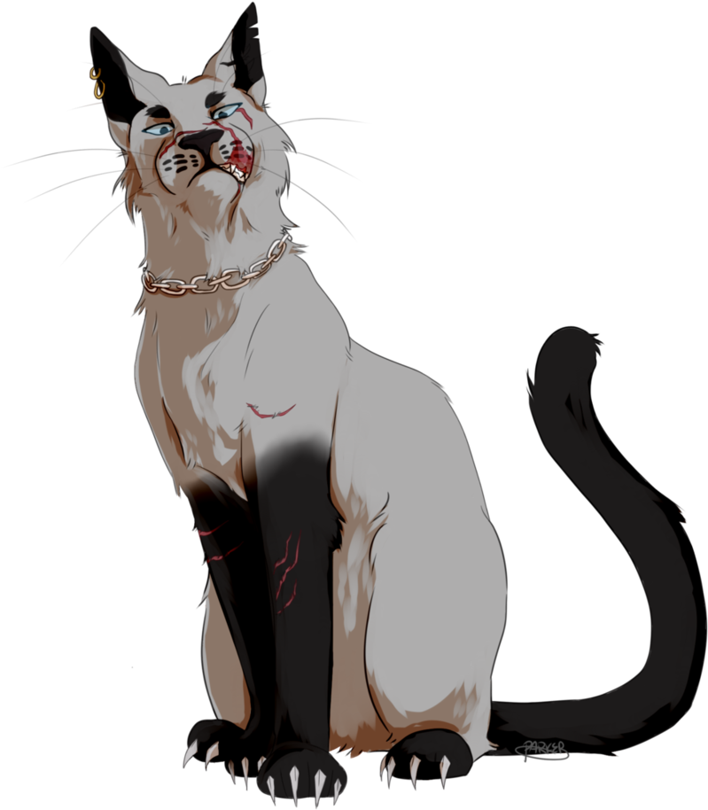 Chain Collar In Which He Stole From A Dead Dog - Cat Yawns Clipart (839x953), Png Download