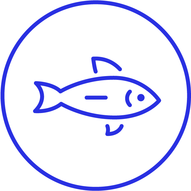 Animal Friendly - Plastic Pollution Clipart (626x626), Png Download