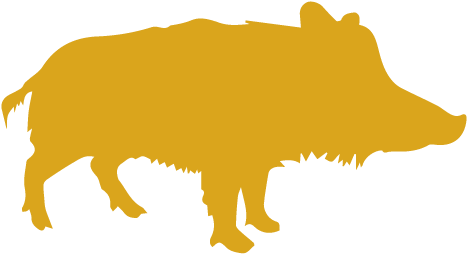 Flowers And Fresh Rosemary, The Root Of Angelica, Coriander, - Wild Pig Clip Art - Png Download (700x457), Png Download