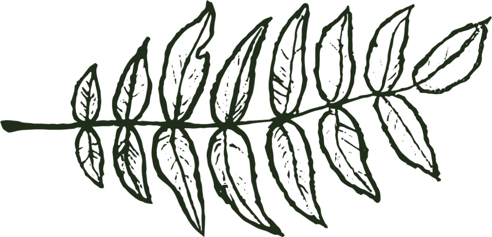 Follow On Instagram - Portable Network Graphics Clipart (1000x482), Png Download