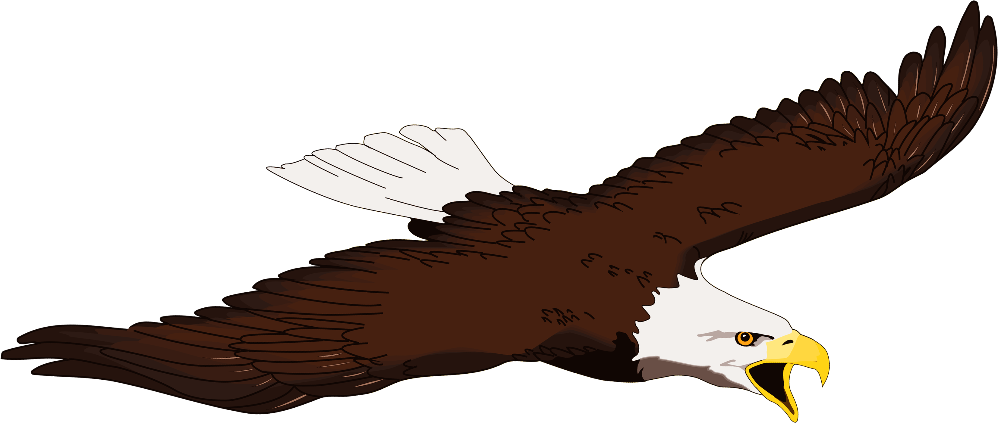Eagle Clipart Free Clipart - Png Download (3311x1405), Png Download