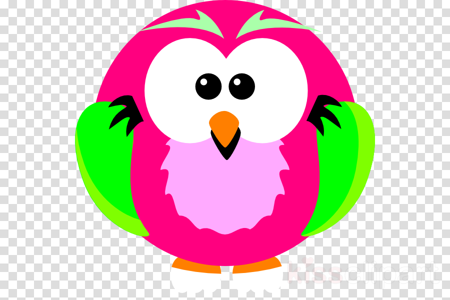 Owl Png Pink And Green Png Clipart Owl Clip Art Transparent Png (900x600), Png Download