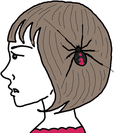 Spider Clipart (600x600), Png Download