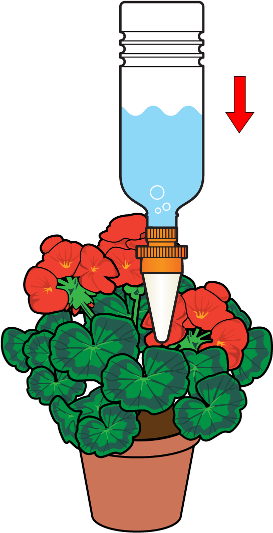 Insert The Cone Into The Plant Pot To Allow A Slow - Cono Riego P/maceta Aquasolo Pack 3+1 Prm Clipart (1600x1191), Png Download