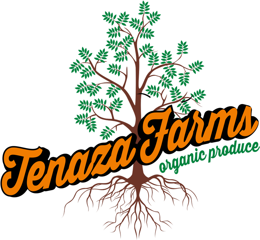 Our Farm, Rgv Organic Farming, Wholesale Organic Produce - Adesivo De Parede - Arvore E Passaros - 011nt-g Clipart (865x800), Png Download