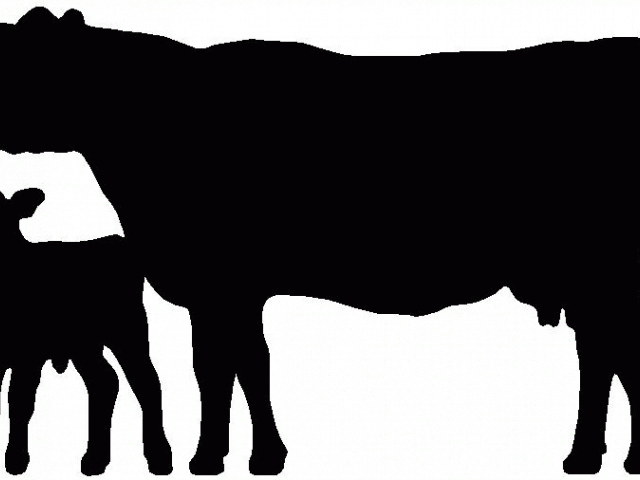Cattle Clipart Dairy Cow - Cow Silhouette - Png Download (640x480), Png Download