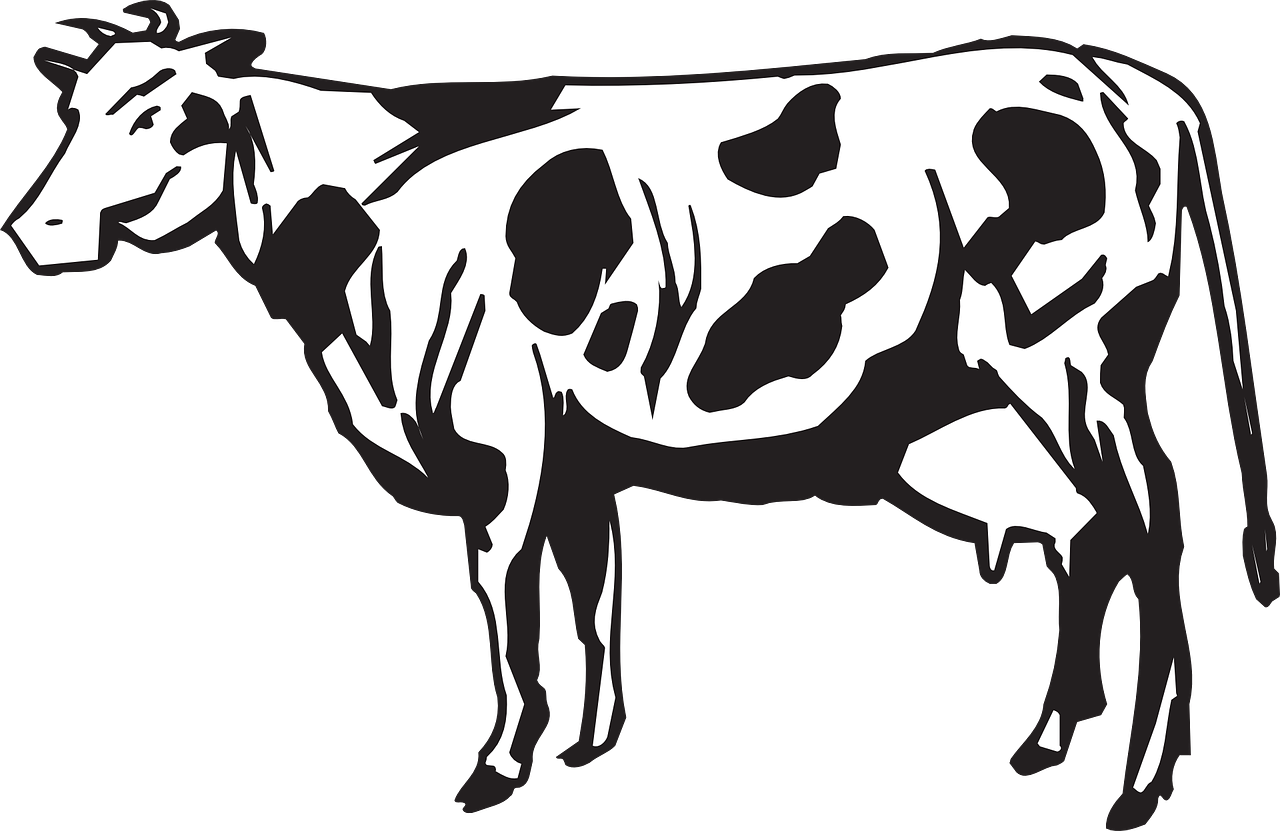Cattle Clipart Image - Png Download (1280x831), Png Download