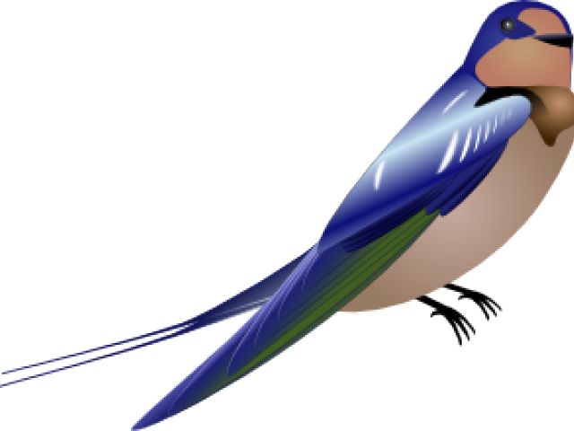 Peacock Clipart Burung - Cartoon Swallow - Png Download (640x480), Png Download