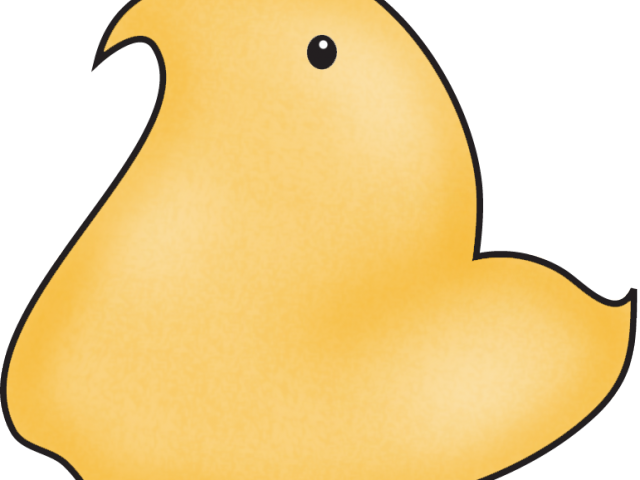 Chick Clipart Peeps - Drawing - Png Download (640x480), Png Download