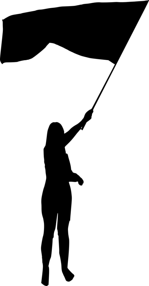 Free Png Person With Flag Silhouette Png Images Transparent - Transparent A Person With Flag Clipart (480x919), Png Download