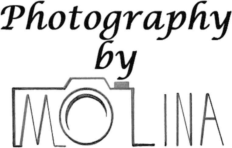 Photography By Molina Clipart (1000x487), Png Download