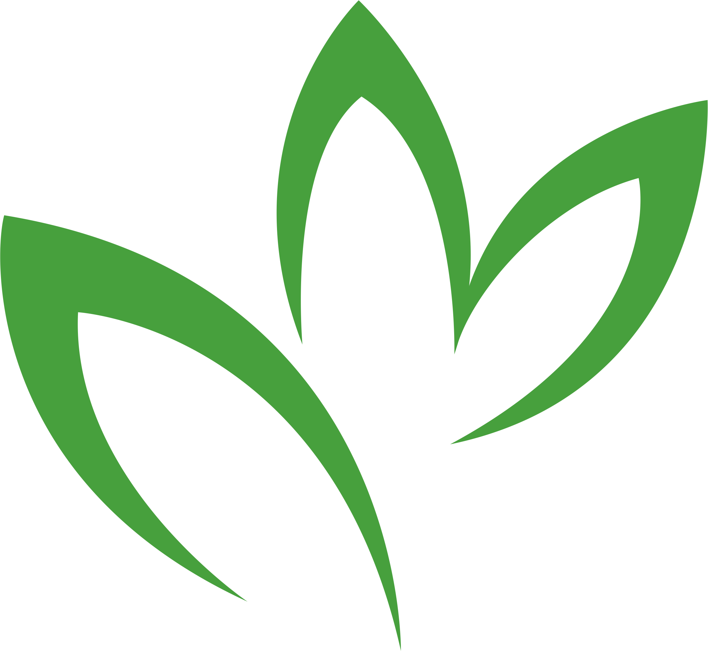 Calix-leaf - Clipart (2262x2082), Png Download