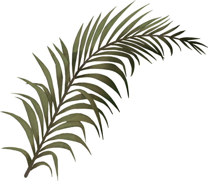 Contact Clipart (677x589), Png Download