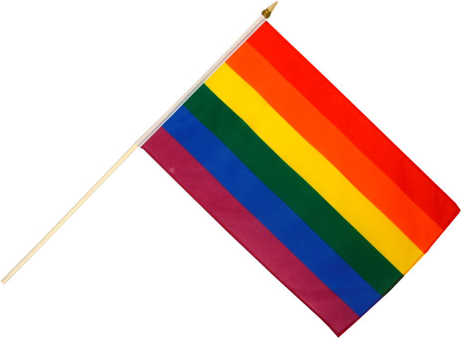 Rainbow Flag Png - Gay Pride Flag Png Clipart (1000x785), Png Download