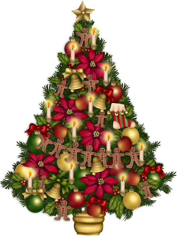 Fir, Christmas, Christmas, Christmas Tree Clipart, - زينة عيد الميلاد المجيد - Png Download (596x800), Png Download