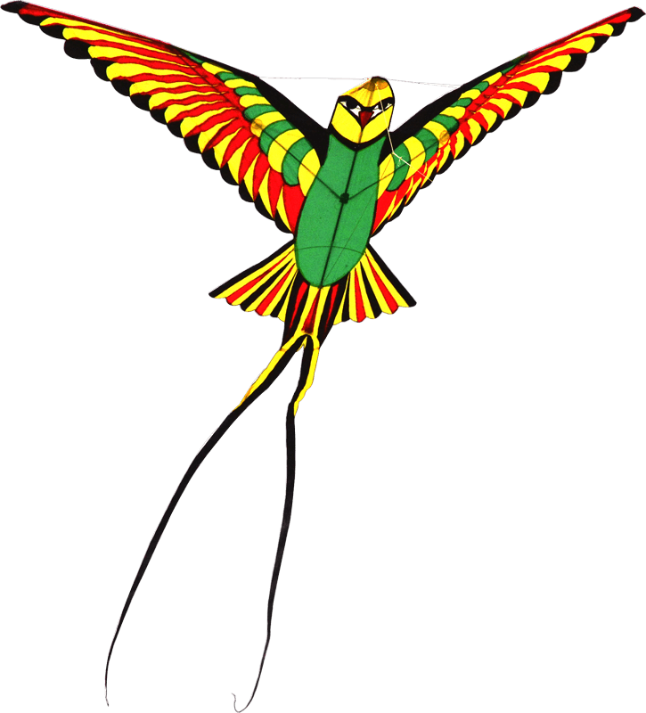 Telangana International Kite Festival - Clip Art - Png Download (725x800), Png Download