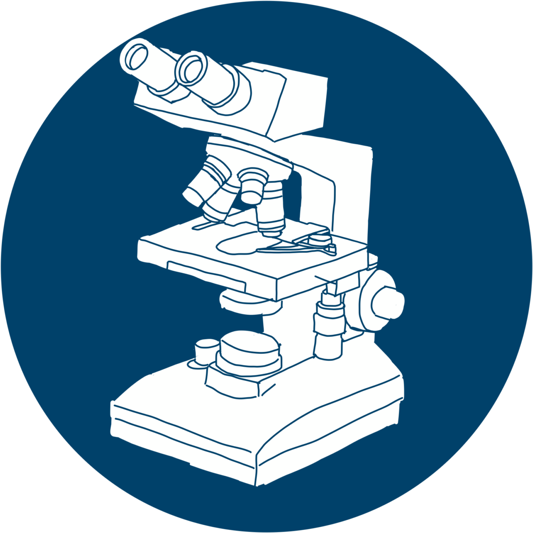 Previous Item Civilian Header Next Item Esd Preview - Stairs Clipart (1170x1170), Png Download