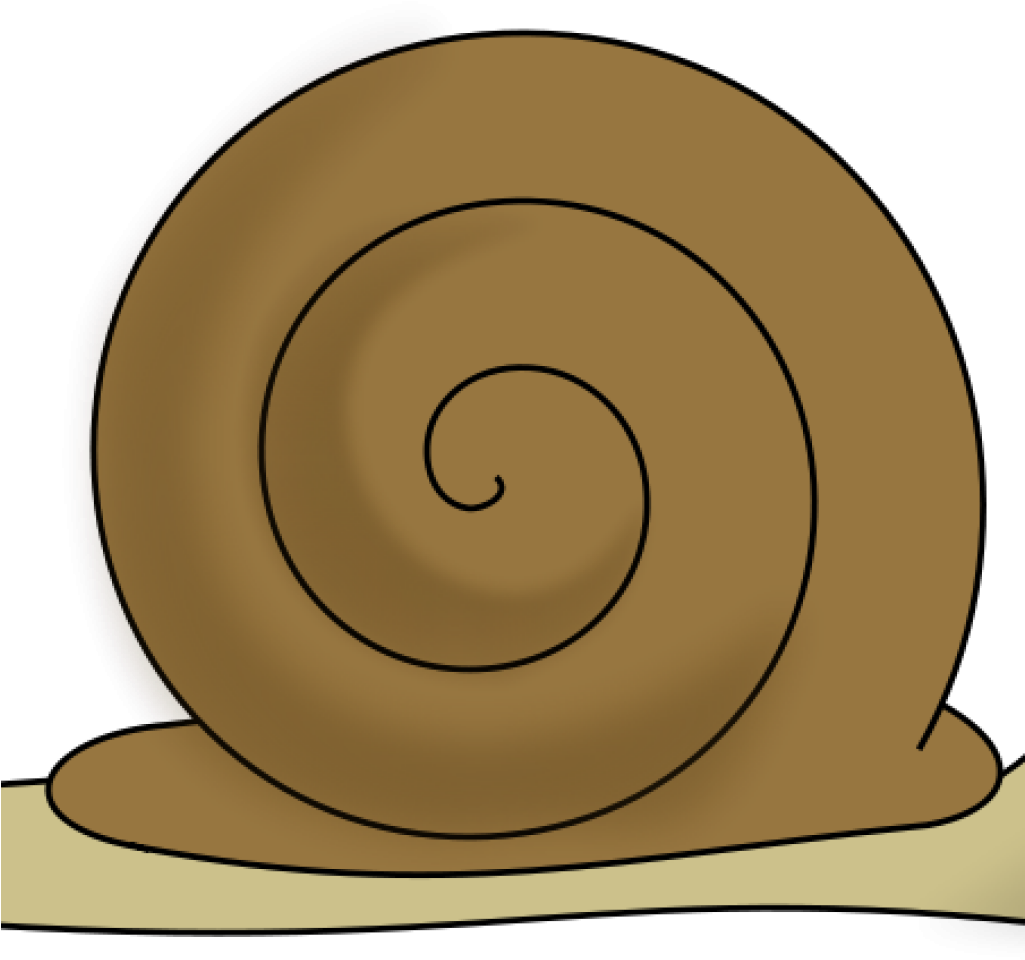 Snail Clip Art Free Clipart Snail Escargot Decroissance - Clip Art - Png Download (1024x1024), Png Download