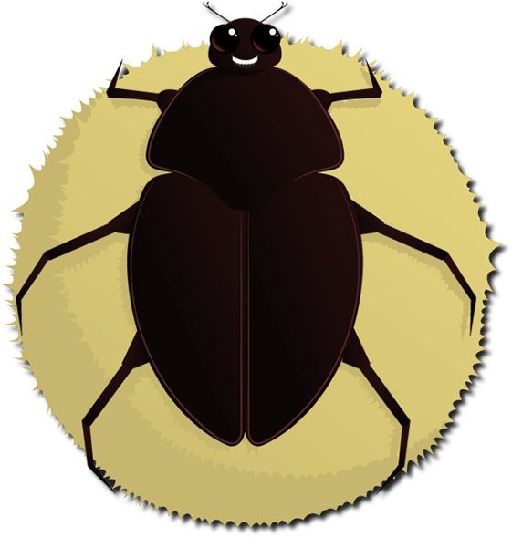 Inshare - Drosophila Melanogaster Clipart (600x638), Png Download