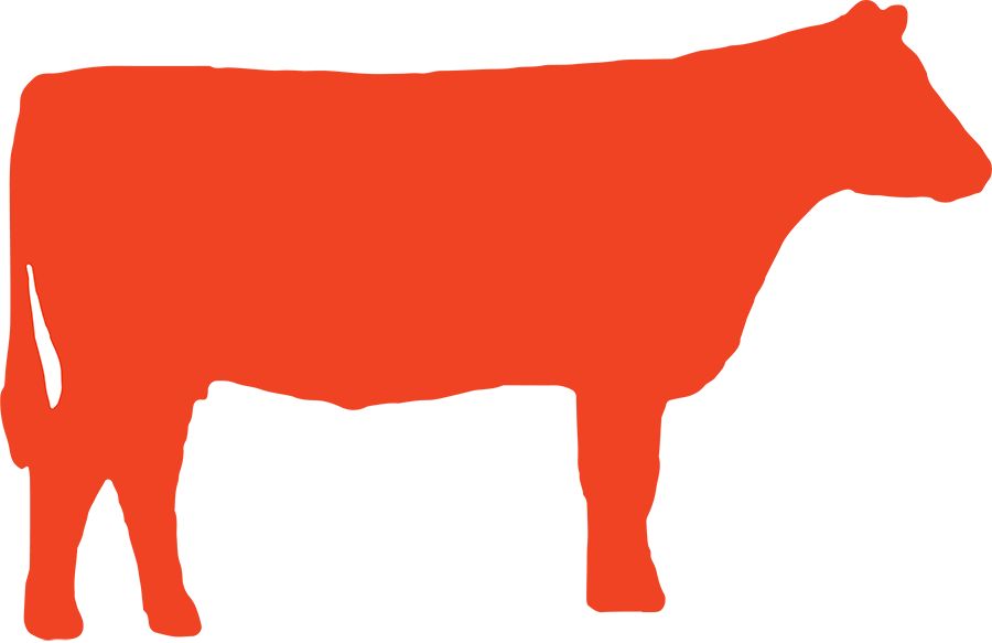 2017 Quivira Conference Clipart (900x583), Png Download