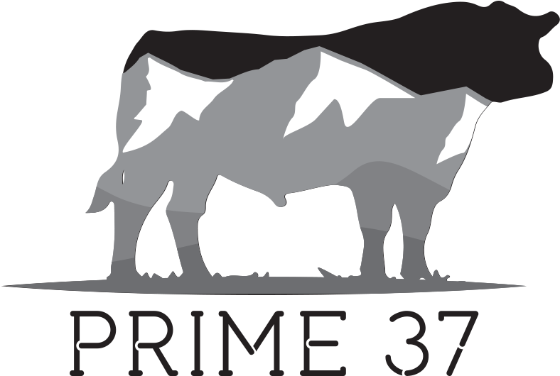 Socialize With Us - Dairy Cow Clipart (800x560), Png Download