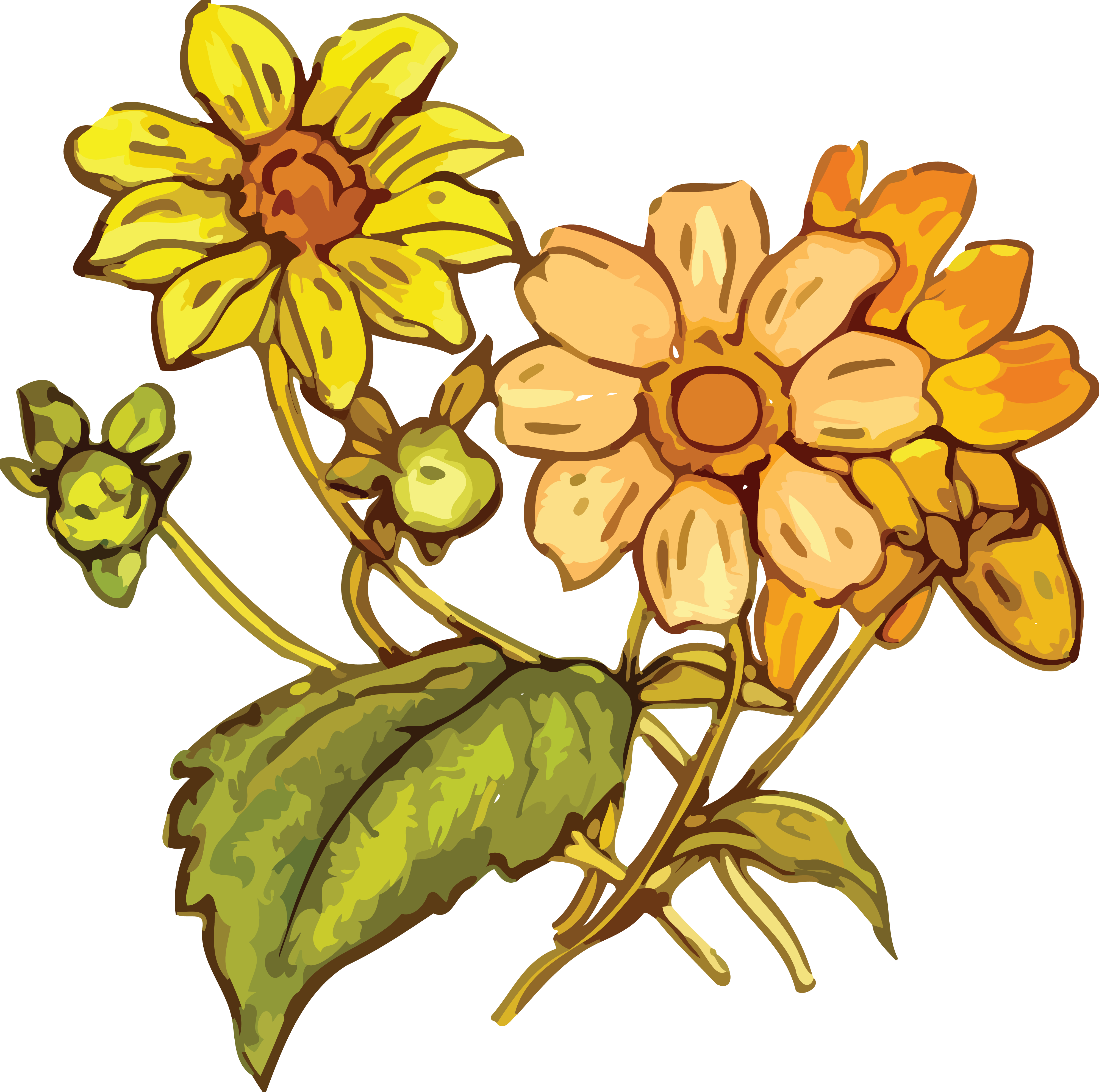 Free Clipart Of A Flowering Plant - Png Download (4000x3975), Png Download